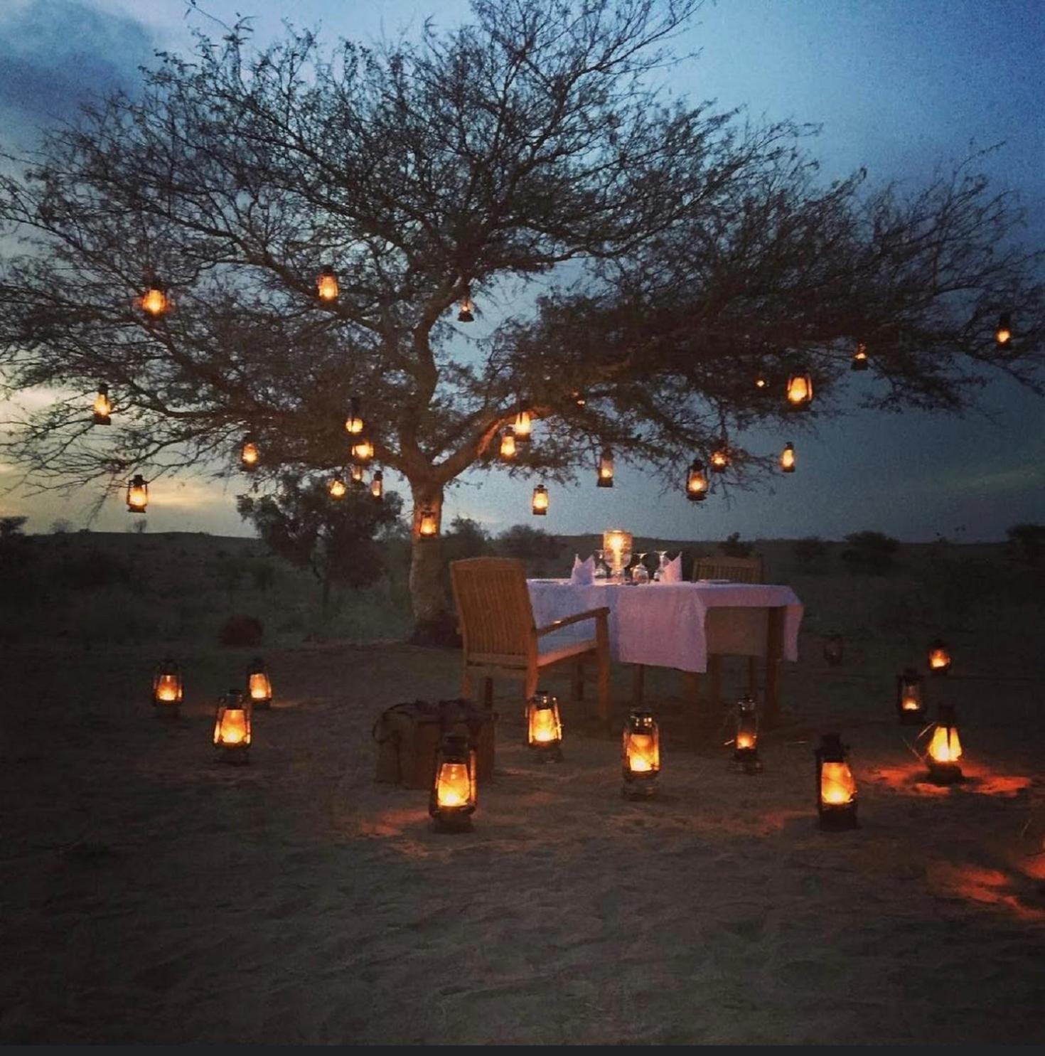 Wild Heritage Resort & Camp Jaisalmer Eksteriør bilde
